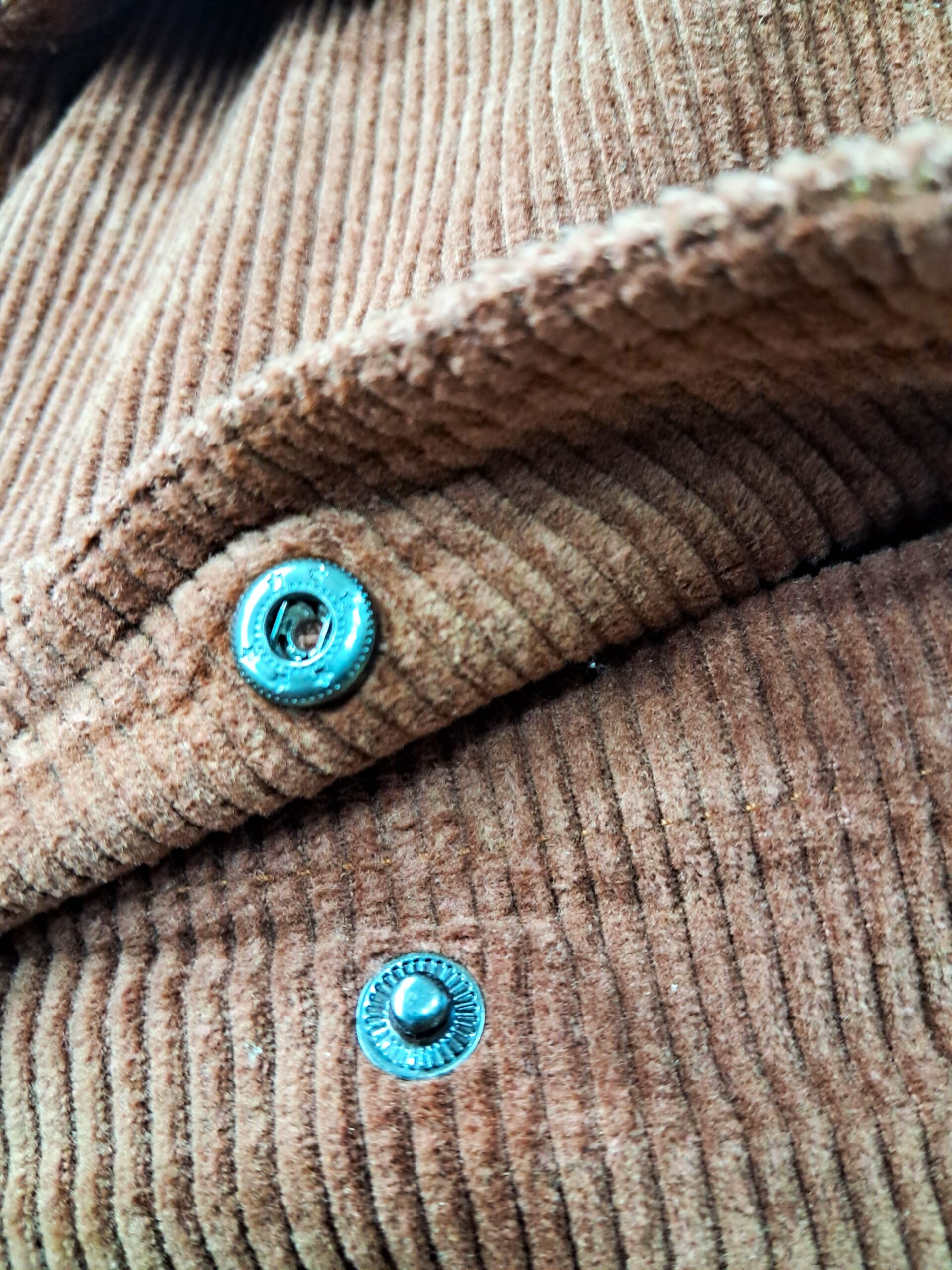 veste demi saisin algerie