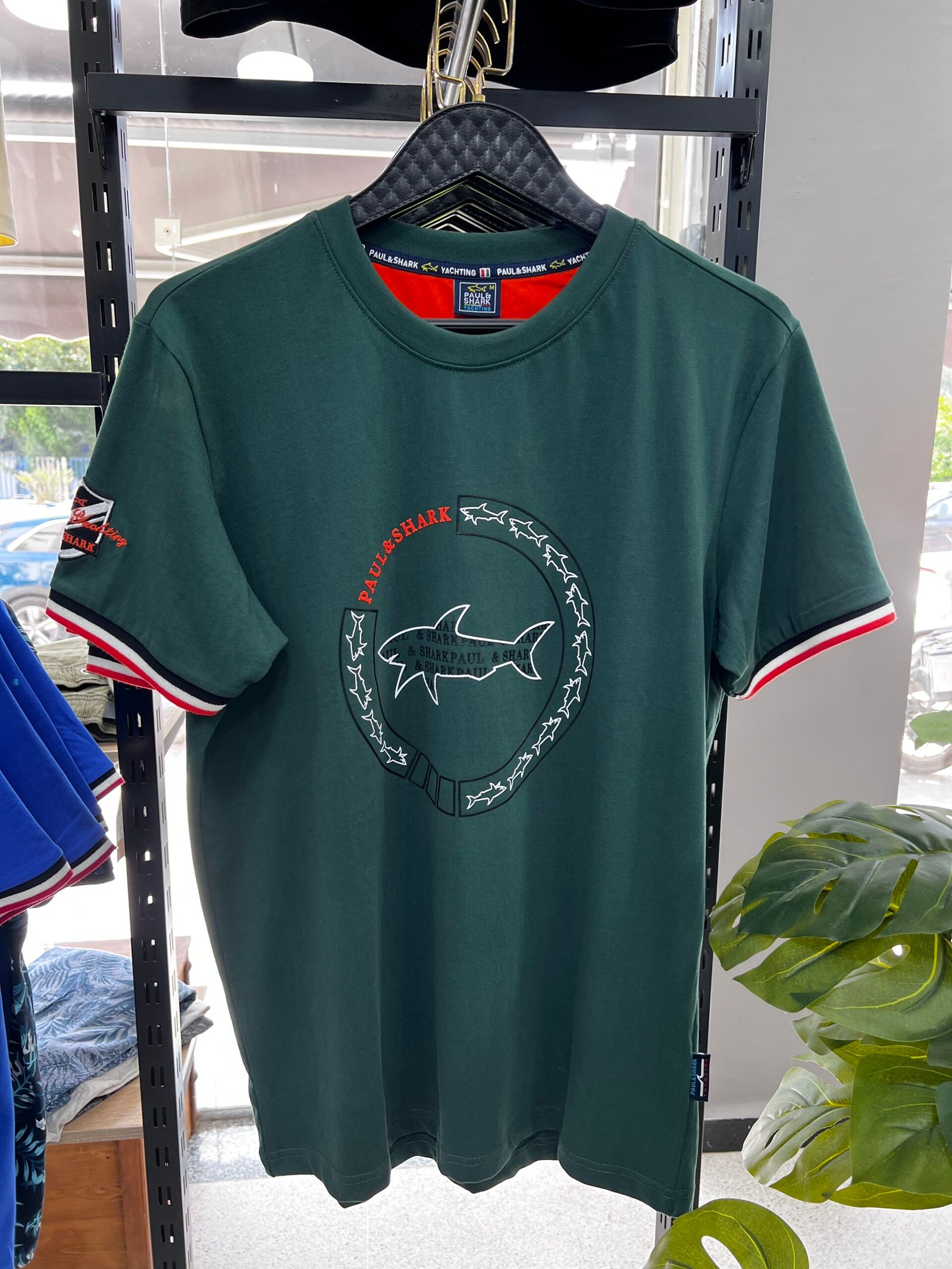 veste demi saisin algerie